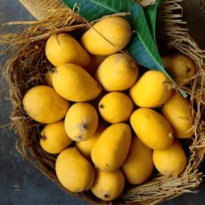 banganpalli mango